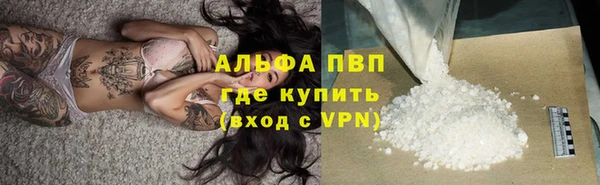 Альфа ПВП Каменка