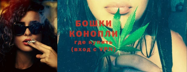 Альфа ПВП Каменка