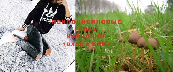 синтетический гашиш Каменногорск