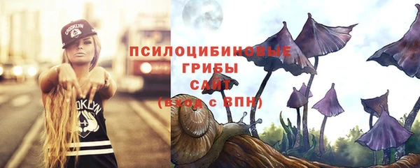 прущие крисы Каменск-Шахтинский