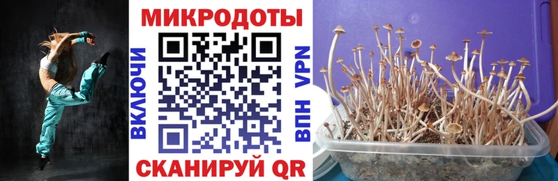 Галлюциногенные грибы GOLDEN TEACHER  Пермь 